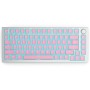 Glorious PC Gaming Race Aura Keycaps V2 - 145 tasti, Layout US - Rosa