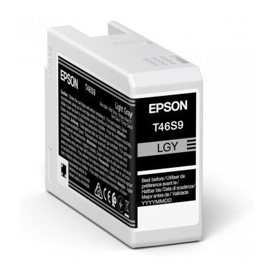 Epson UltraChrome Pro cartuccia d'inchiostro 1 pz Originale Grigio chiaro