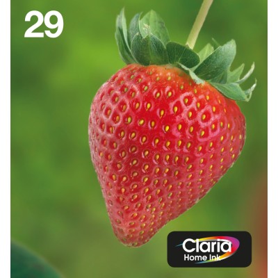 Epson Strawberry Multipack Fragole 4 colori Inchiostri Claria Home 29 in confezione EasyMail Packaging