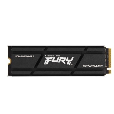 4000G RENEGADE NVMe SSD W/HEATSINK