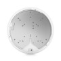 Ubiquiti U6-PRO punto accesso WLAN 4800 Mbit/s Bianco Supporto Power over Ethernet (PoE)