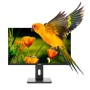 MONITOR 24 REG VA HDMI DP