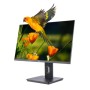 MONITOR 24 REG VA HDMI DP