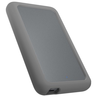 Icy Box IB-246-C31-G Custodia in Silicone per HDD/SSD USB 3.2 - Grigio