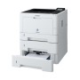 Epson WorkForce AL-M310DN